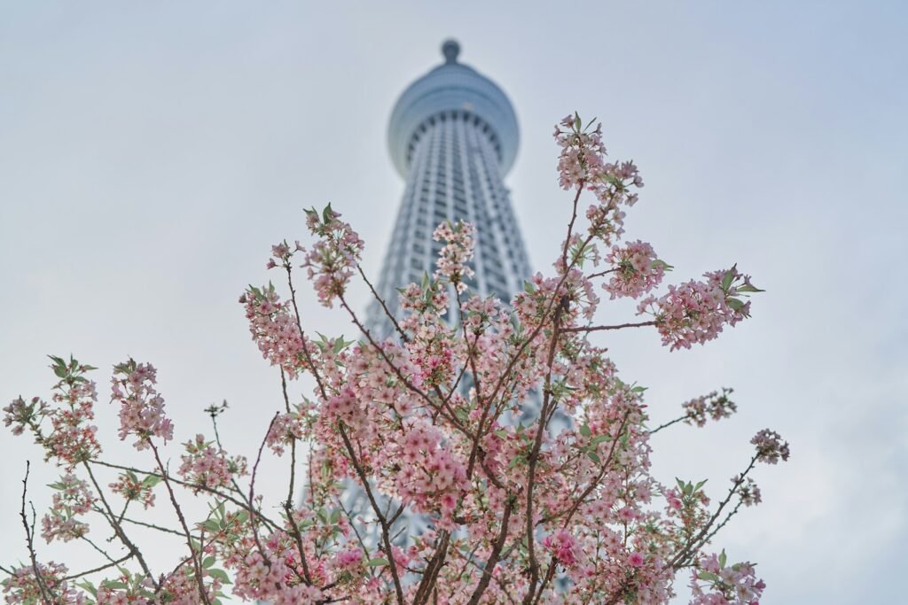 Tokyo Skytree