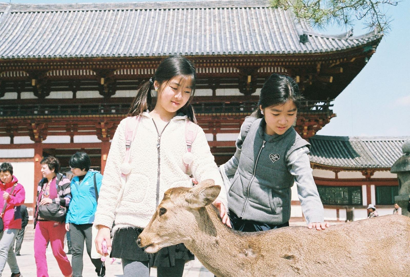 Two young girls petting a deer outside a traditional Japanese temple in Nara.