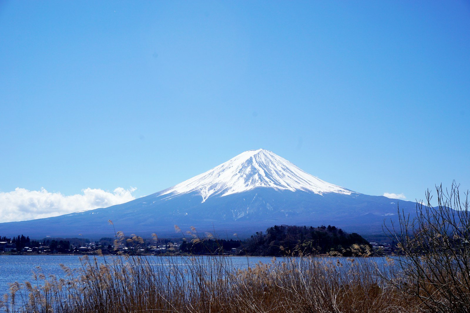 Family Hotels Mount Fuji: Best Views & Kid-Friendly Stays